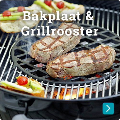 Bakplaat & Grillrooster voor barbecue goedkoop
