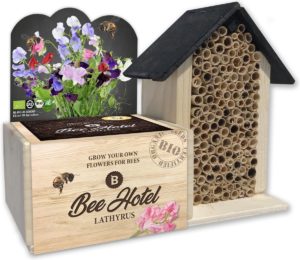 Bijenhotel met BIO zaden Lathyrus kweekset