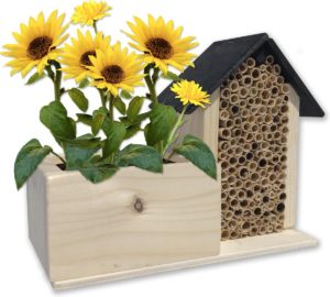 Bijenhotel met BIO zaden Zonnebloem kweekset