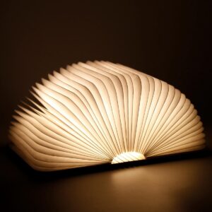 Boek Lamp Mini -hout- Inclusief sterk magneetkoord om lamp op te hangen- sfeerlicht - verjaardag - Booklight- Lightbook - festival- keuze uit ledkleuren- hout-tyvek-sfeer- leeslamp- tafellamp-kerst- It's about HiRi