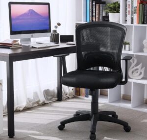 Bureaustoel - Computerstoel - Comfortabel - Polypropyleen - Zwart - 66x67x100