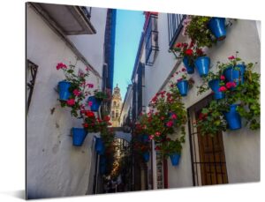 Straatbeeld met blauwe bloempoten van Cordoba Spanje Aluminium 80x60 cm - Foto print op Aluminium (metaal wanddecoratie)