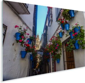 Straatbeeld met blauwe bloempoten van Cordoba Spanje Plexiglas 160x120 cm - Foto print op Glas (Plexiglas wanddecoratie) XXL / Groot formaat!