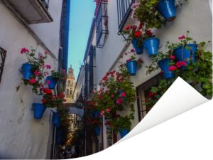 Straatbeeld met blauwe bloempoten van Cordoba Spanje Poster 160x120 cm - Foto print op Poster (wanddecoratie woonkamer / slaapkamer) / Europese steden Poster XXL / Groot formaat!