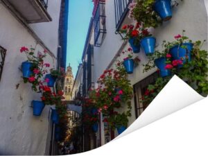 Straatbeeld met blauwe bloempoten van Cordoba Spanje Poster 40x30 cm - klein - Foto print op Poster (wanddecoratie woonkamer / slaapkamer) / Europese steden Poster