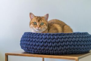 Sunny Baskets - Kattenmand gerecycled katoen handgemaakt donkerblauw - Maat L 43/45 cm doorsnede
