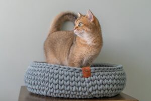 Sunny Baskets - Kattenmand gerecycled katoen handgemaakt grijsgroen - Maat L 43/45 cm doorsnede