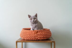 Sunny Baskets - Kattenmand gerecycled katoen handgemaakt terracotta - Maat M 36/38 cm doorsnede