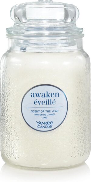 Yankee Candle Large Jar Geurkaars - Awaken