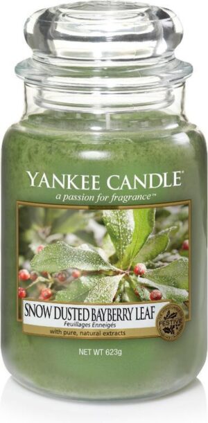 Yankee Candle Large Jar Geurkaars - Snow-Dusted Bayberry Leaf