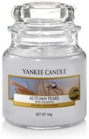 Yankee Candle Small Jar Geurkaars - Autumn Pearl