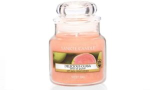 Yankee Candle Small Jar Geurkaars - Delicious Guava