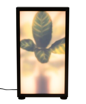 Zuiver Grow M Vloerlamp - Roomdivider - 29x8x51- LED - Zebra Plant