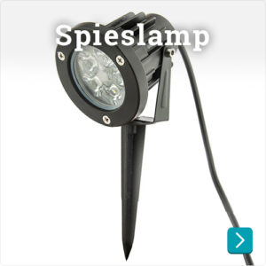 Spieslamp