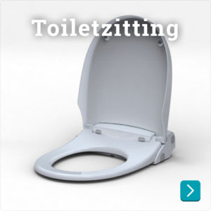 Toiletzitting