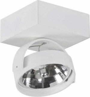 Artdelight - Plafondlamp Dutchess 1L Square - Wit - LED 15W 2200K-3000K - IP20 - Dim To Warm > spots verlichting led | led lamp