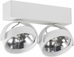 Artdelight - Plafondlamp Dutchess 2L - Wit - 2x LED 15W 2200K-3000K - IP20 - Dim To Warm > spots verlichting led | led lamp