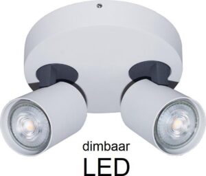 Artdelight - Plafondlamp Vivaro 2L Rond - Wit - 2x LED 4,9W 2700K - IP20 - Dimbaar > spot verlichting led | plafonniere led wit | led lamp