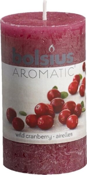 Bolsius Geur Stompkaars Rustic Wild Cranberry - 100x58mm - 4 stuks