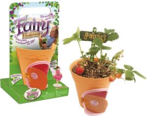 My Fairy Garden Flowerpot - Bloempot en elfenhuisje voor kinderen
