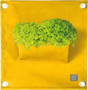 Plantenbak binnen buiten - Bloempot - Geel - The Green Pocket - Amma