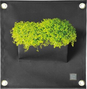 Plantenbak binnen buiten - Bloempot - Zwart - The Green Pocket - Amma