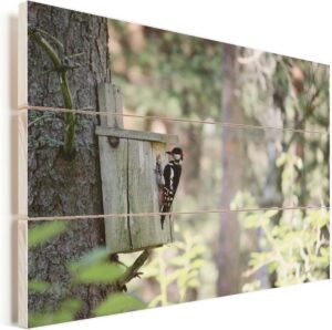 Een grondspecht is aangekomen op een vogelhuisje in Finland Vurenhout met planken 40x30 cm - klein - Foto print op Hout (Wanddecoratie)
